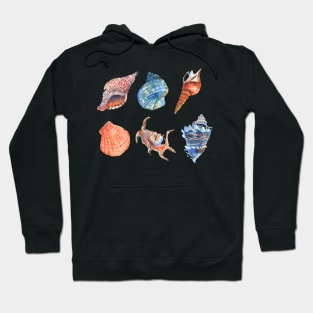 Shell Collection Hoodie